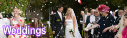 Wedding Parties